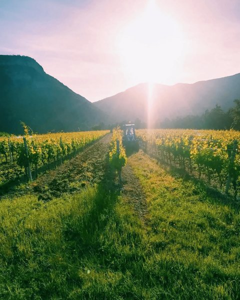 Hébergement AbracadaRoom : ※ Homnest ※ Cirque des Géants ※ Vignoble à 20 min de Die - Image 14