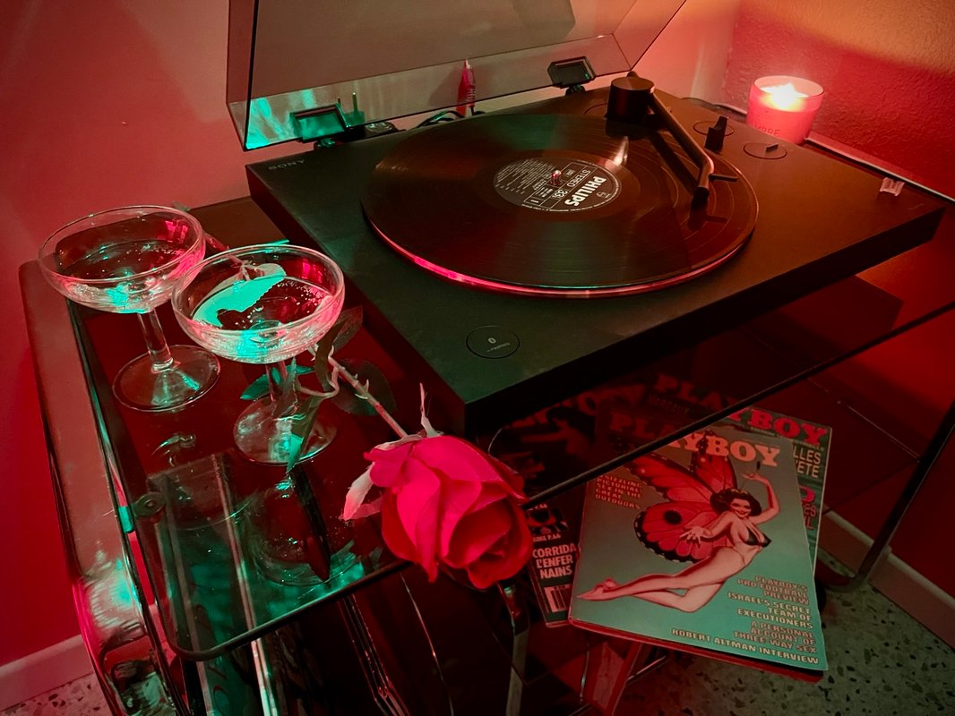 Pop 70 Secret : Escapade glamour au cœur des années 70 à Rieux (7)
