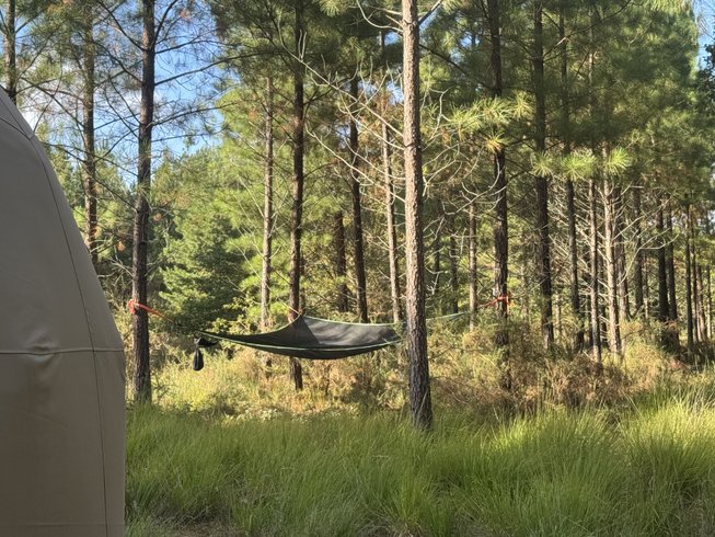 Hébergement AbracadaRoom : Dôme d'Amagui au cœur de la forêt Landaise - Image 11