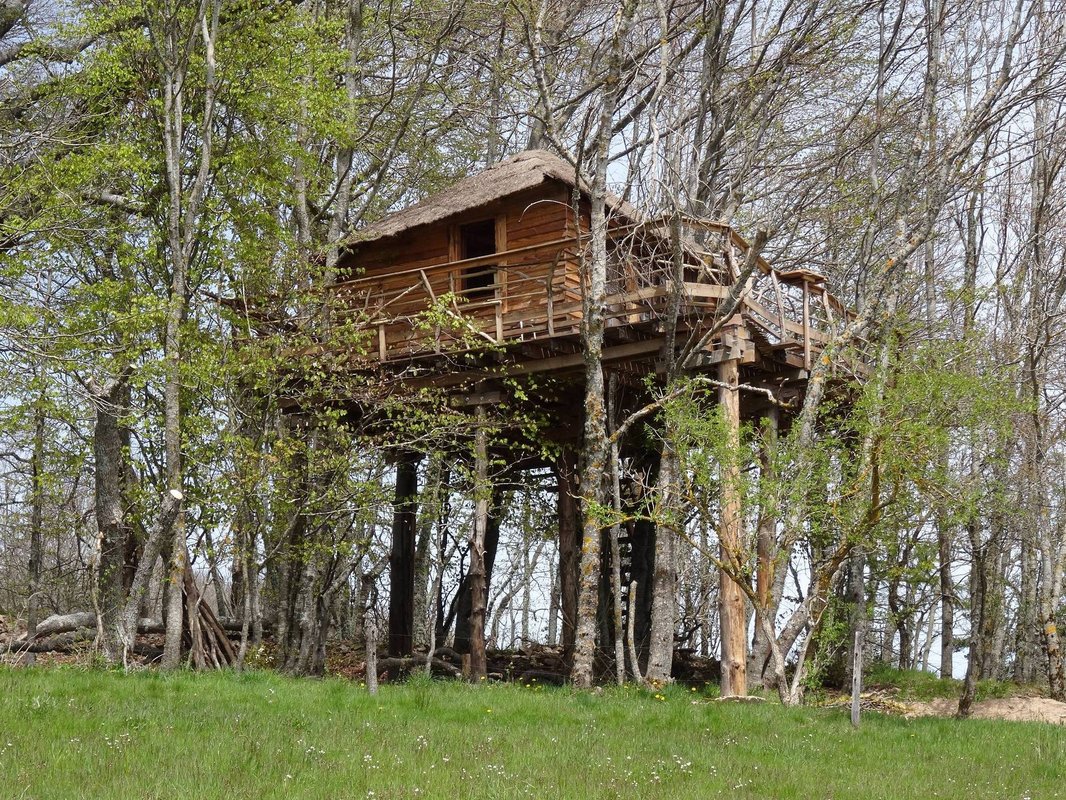 La Cabane des Fayards