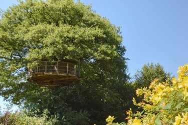 Cabane Girsberg à La Baconnière (1)