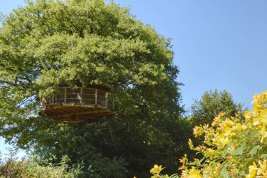 Cabane Girsberg à La Baconnière (1)