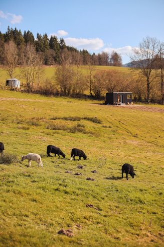 Hébergement AbracadaRoom : Parcel Tiny House - à 1h de Lyon - Image 4