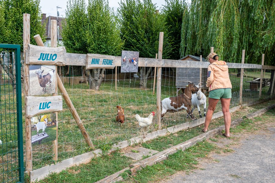 Domaine AbracadaRoom : Seasonova Camping les Portes d'Alsace - Image 60