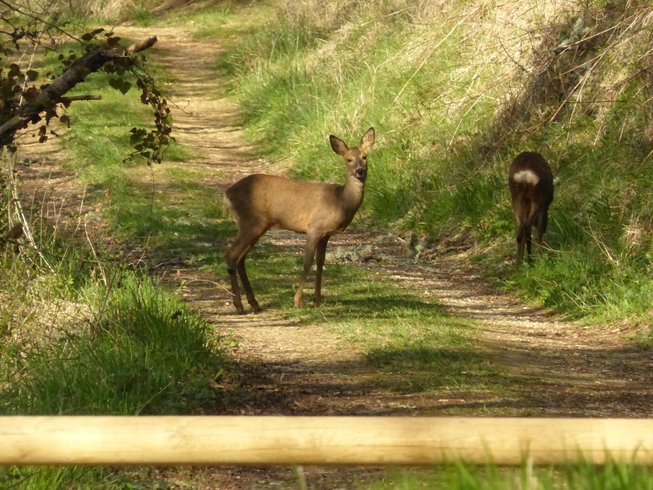 Hébergement AbracadaRoom : Le Do' dôme - Image 15