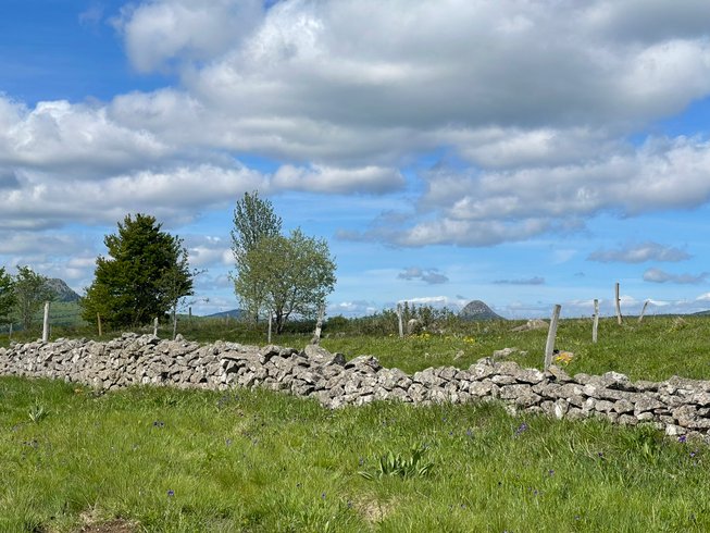 Domaine AbracadaRoom : LE VOLCANIC DOME - Image 10