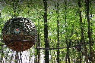 Lov'Branches [copie]