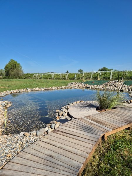 Hébergement AbracadaRoom : Panorama ROOFTOP & SPA - Image 15