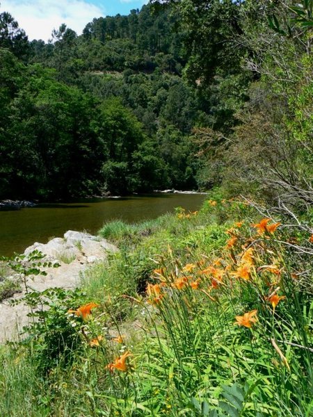 Domaine AbracadaRoom : La Colline Vagabonde - Image 6