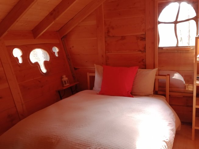 Hébergement AbracadaRoom : la Cabane l'Appel de la Forêt - Image 3