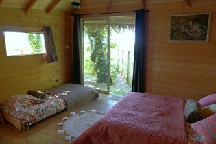 Voler avec Les Oiseaux