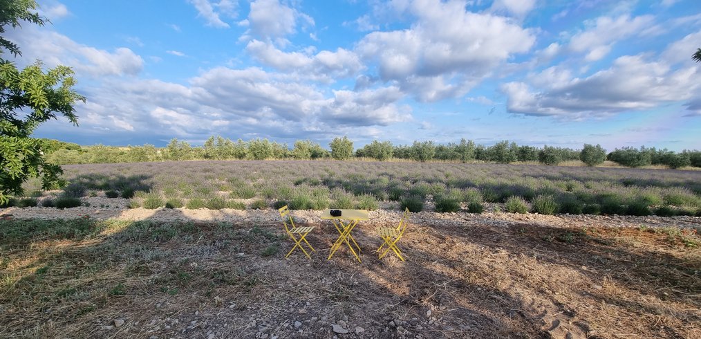 Hébergement AbracadaRoom : Les Lavandes - Image 12