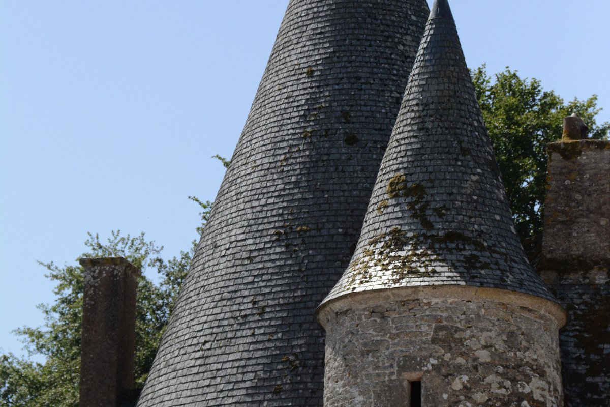 Chambre au château de la Noé sèche à Le Foeil (9)