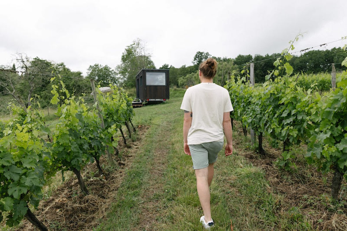 Parcel Tiny House - dans les vignes du Périgord à Ligueux (18)