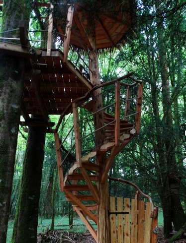 Hébergement AbracadaRoom : Clairière - Image 9