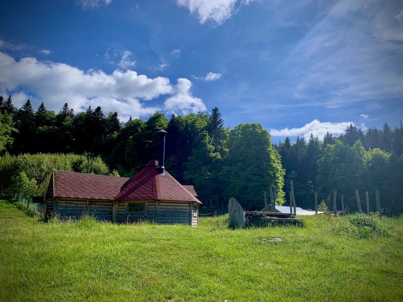 Hébergement AbracadaRoom : Kota 3 Inari - Séjour inoubliable auprès de huskies - Image 6