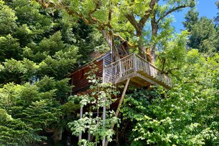 Cabane dans les arbres Vosges