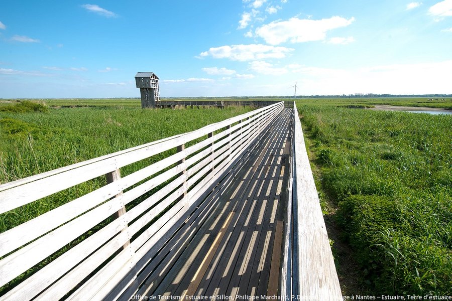Domaine AbracadaRoom : Terre d'estuaire à Lavau-sur-Loire - Image 10