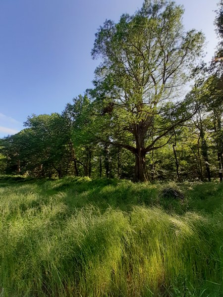 Domaine AbracadaRoom : Cabane Spa et Nature - Image 10