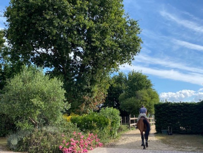 Domaine AbracadaRoom : Gîtes de la belle étoile - Image 2