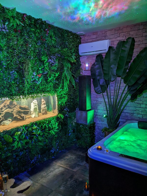 Nuit insolite avec Spa, sauna et jardin privatifs immersion en AMAZONIE à Le Passage D'agen (12)