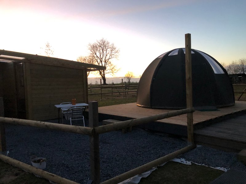 Domaine AbracadaRoom : Les alpagas du clos - Image 12