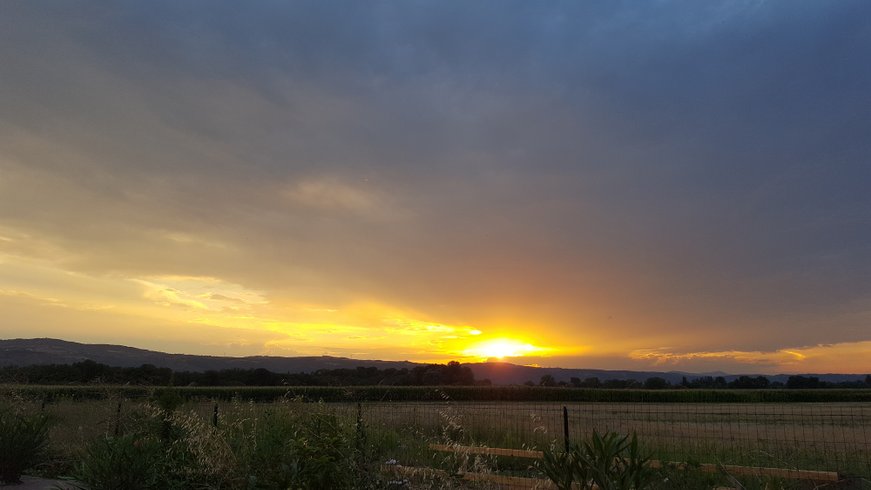 Domaine AbracadaRoom : Des Branches & Vous - Image 1