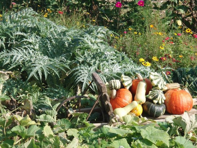 Domaine AbracadaRoom : Château de Villiers - Image 4