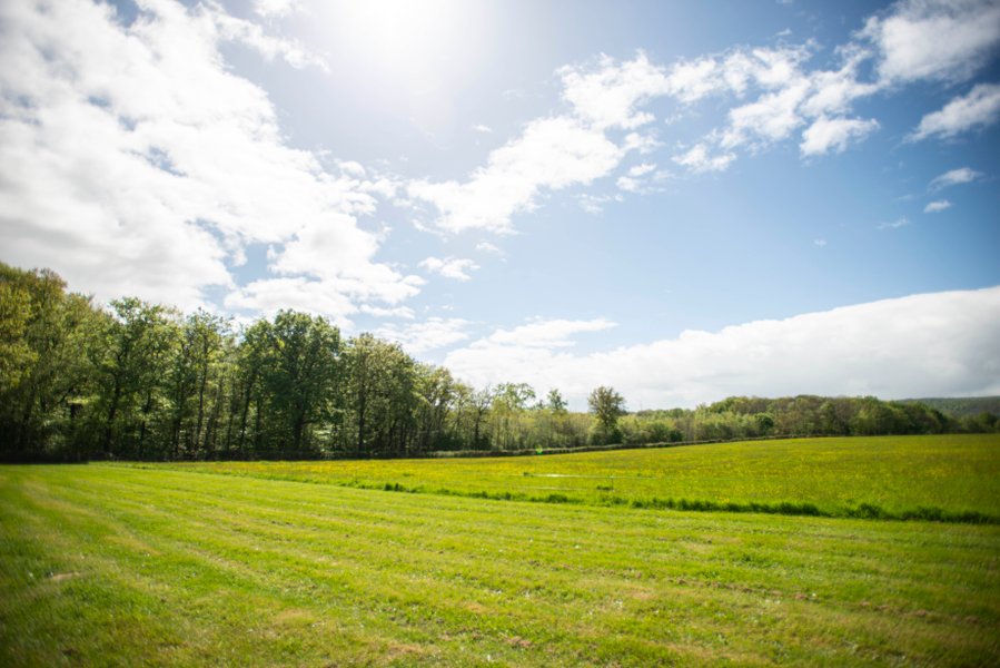 Hébergement AbracadaRoom : Domaine viticole Joseph Lafarge - Muscat - Image 16