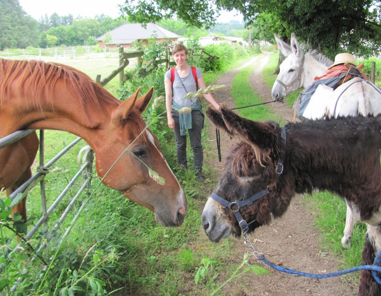 Domaine AbracadaRoom : Les Ânes de Vassivière - Image 9
