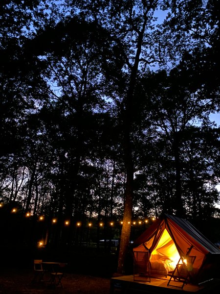 Domaine AbracadaRoom : Seasonova Camping la Forêt - Image 3
