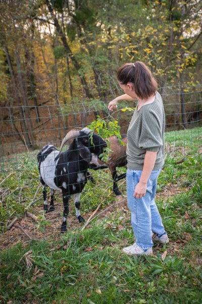 Domaine AbracadaRoom : Homnest (Puybegon) - Image 19