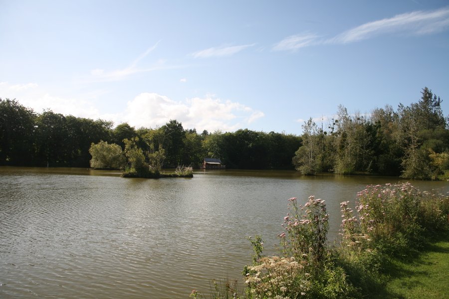 Hébergement AbracadaRoom : Cabane Familiale Naturé'O - Image 13