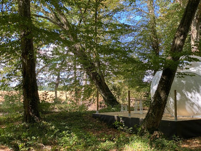 Hébergement AbracadaRoom : Bulle de l'étang - Image 4