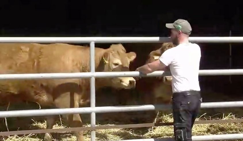 Domaine AbracadaRoom : Ferme des Coutures - Image 4