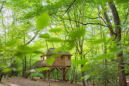 Hébergement AbracadaRoom : La Folie des Grandeurs - Image 7