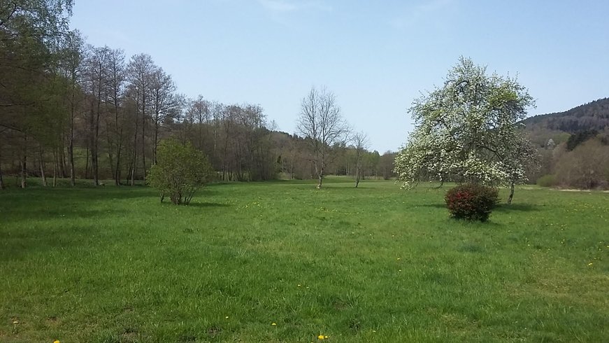 Domaine AbracadaRoom : Le Rêve de Charles - Image 2