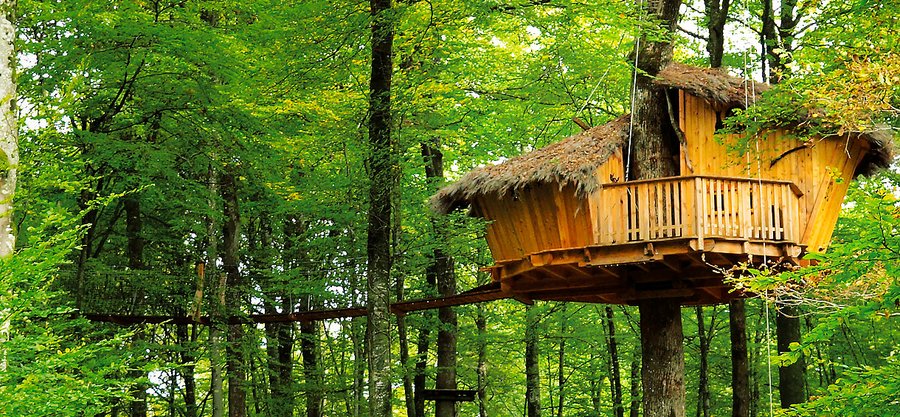 Domaine AbracadaRoom : L'Arbre à Cabane - Image 10