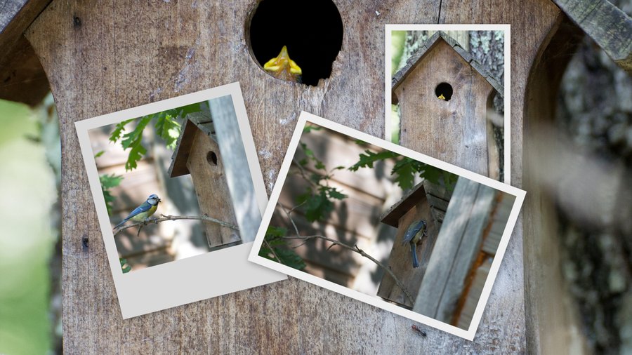 Domaine AbracadaRoom : NATURA LODGE - Image 4