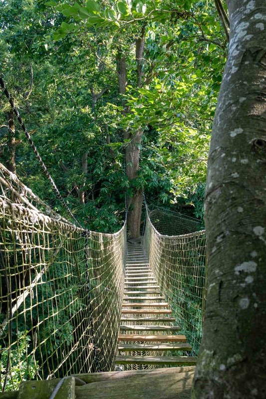 Cabane Grand Duc à Saint Pierre Azif (3)