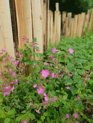 Domaine AbracadaRoom : Domaine du Moulin de Trimeule - Image 15