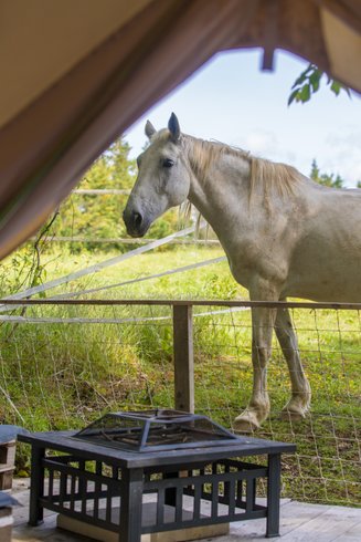 Hébergement AbracadaRoom : Lodge Samana - Image 23
