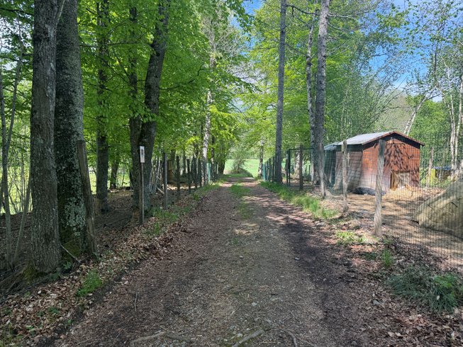 Domaine AbracadaRoom : Le Matoaka Lodge -  L'Arche de Ringo - Image 8