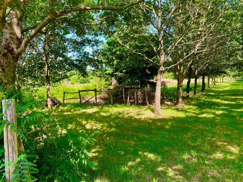 Hébergement AbracadaRoom : Sunny Lodge - Image 12