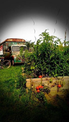 Domaine AbracadaRoom : Village Toue des Demoiselles - Image 9