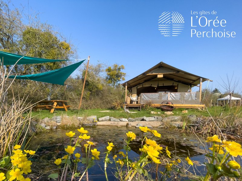 Hébergement AbracadaRoom : Tente Lodge de l'Orée Perchoise - Image 19