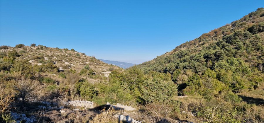 Domaine AbracadaRoom : BULLES DE REVES - Image 1