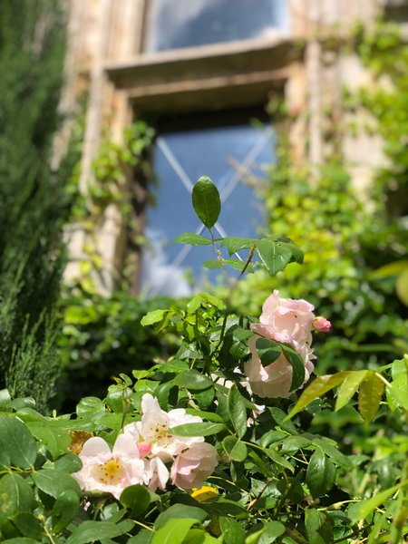 Domaine AbracadaRoom : Château de Saint Chamarand - Image 24