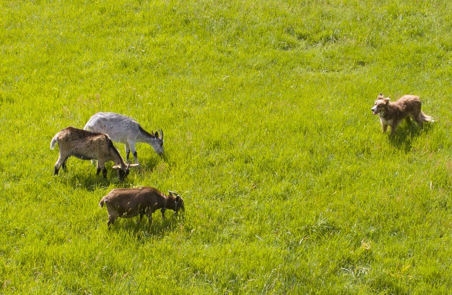 Hébergement AbracadaRoom : La Cabane du Fermier & Spa - Image 19