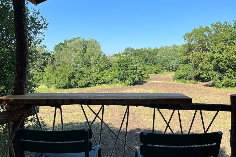 Cabane Spa Nid des Bois — photo 2